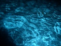 CIMG0202