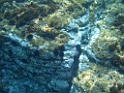 CIMG8639