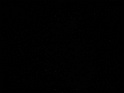 DSCF0981