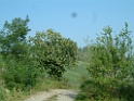 DSCF0029