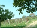 DSCF0067