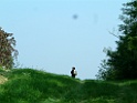 DSCF0071