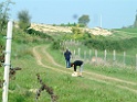 DSCF0074