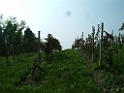 DSCF0078