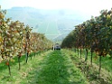 DSCF0090