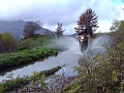 DSC02433