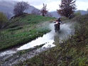 DSC02442