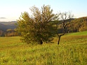 CIMG2265