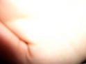 CIMG5317