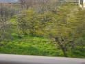 CIMG5782