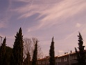 CIMG5799