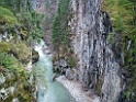 DSCF2548