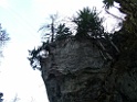 DSCF2564