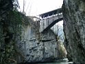 DSCF2566