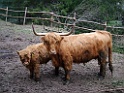DSCF2618