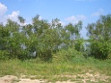 CIMG7392