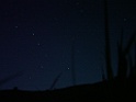 DSCF2686