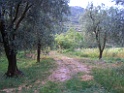 CIMG9405
