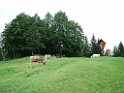 DSCF2811