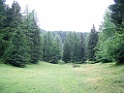 DSCF2813