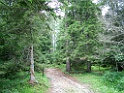 DSCF2816