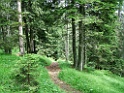 DSCF2819