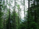DSCF2820