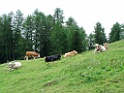 DSCF2822