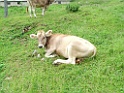 DSCF2823
