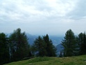 DSCF2826