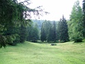 DSCF2884