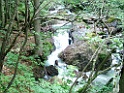 DSCF2906