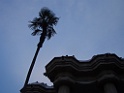 CIMG0346
