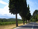 CIMG0893