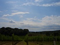 CIMG0894