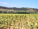CIMG0945