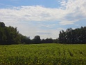 CIMG0948