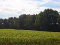 CIMG0949