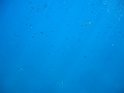 CIMG1140
