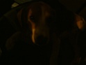 DSCF0054