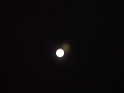 DSCF3040