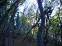 CIMG0637