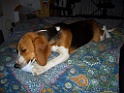 CIMG0689