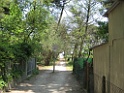 IMG_0428