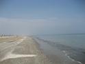 IMG_0434