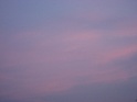 IMG_0444