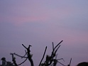 IMG_0446