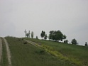 IMG_0705