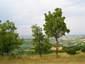 CIMG1103