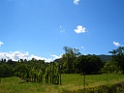 CIMG2848